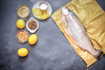 Raw hefty such raw fish on craft paper on a gray tabletop lemon pepper oil seasoning lemon slices...