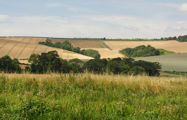South Downs near Arundel, England