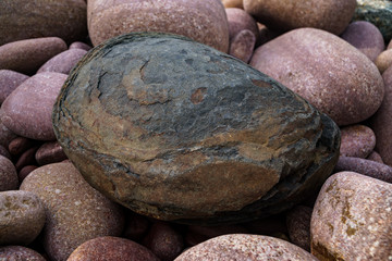 Fototapeta na wymiar rusty stone at the beach