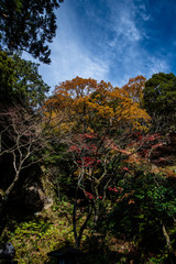 公園