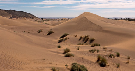 Trekking Tour durch die Wüste Sahara im Süden Marokko. 