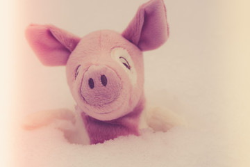  Toy pig in the snow