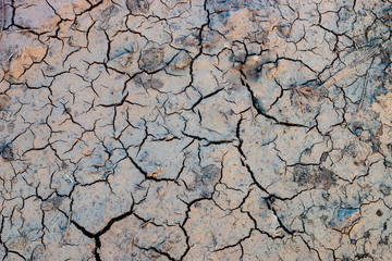 cracked mud texture 004