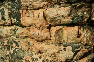 Moss covered rock