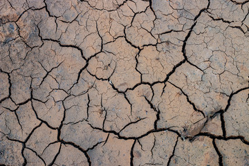 cracked mud texture 005