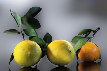 Two lemons and tangerine lying on the table