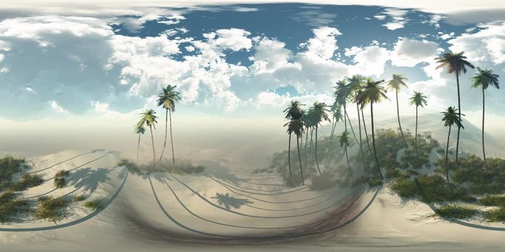 vr 360 panorama of palms in desert at sunset. made with the one 360 degree lense