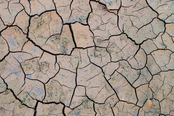 cracked mud texture 007