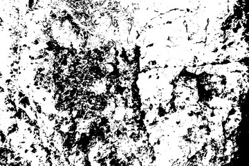 Black on white weathered texture. Aged tree bark stratched surface. Distressed vector overlay for vintage effect.