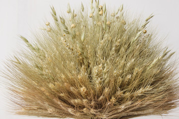 Didukh. Fragment close-up. Ukrainian Christmas decoration and traditional symbol. Made of straw of different cereals. 