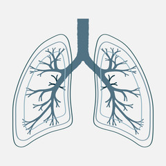 Human Lung anatomy illustration . Illness respiratory cancer gra