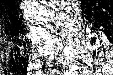 Black on white weathered texture. Aged tree bark surface. Distressed vector overlay for vintage effect.