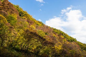 Takatsudo Gorges wrapped in autumn leaves / Takatsudo Gorges is a valley in Takatsudo Omama-machi, Midori-city, Gunma Prefecture, Japan.