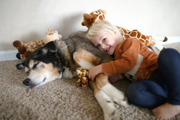 A Young Child is Smiling Happily as she Hugs her Pet German Shepherd Dog and her toy Giraffes.