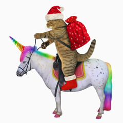 The cat in the Santa Claus outfit is riding the real unicorn. White background.