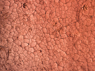Cracked dry land in a desert