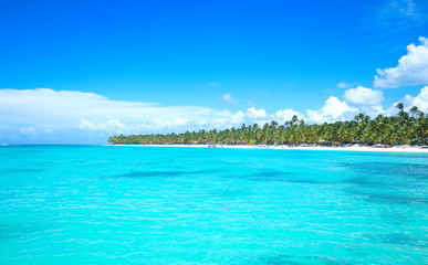 beach and tropical sea