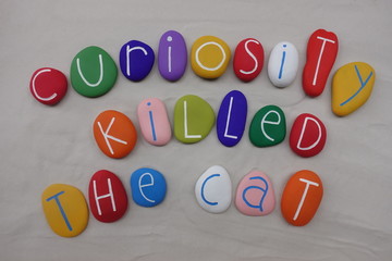 Curiosity killed the catm proverb used to warn of the dangers of unnecessary investigation or...