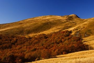 Autumn in the primeval forest. Bieszczady Mountains. Tarnica