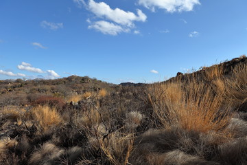 Die Savannen und Landschaften in Simbabwe