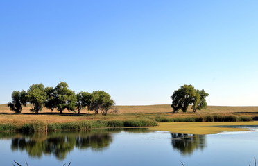 Colorado landscape on Ladora Lake in Rocky Mountain Arsenal National Wildlife Refuge