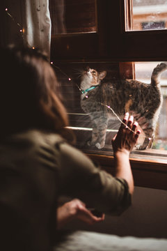 Anonymous female touching window glass near kitten