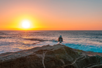 Bird is sitting on stone near sea or ocean on sunset. Selective focus
