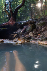 Umpqua hot springs