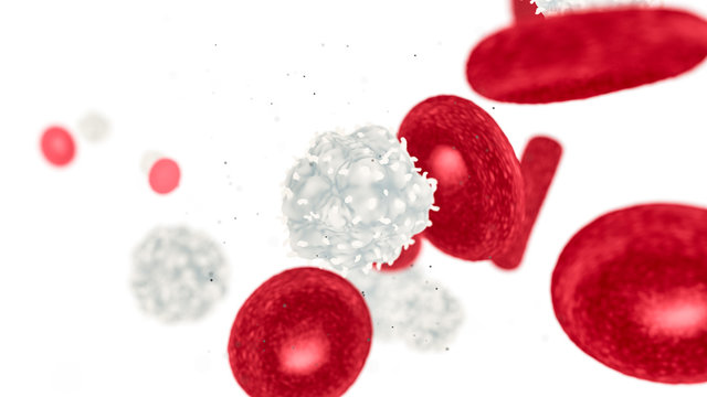 Creative 3d render of blood cells background