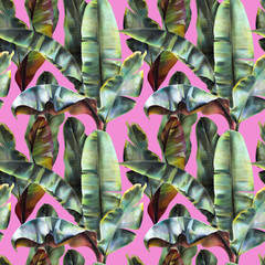 Seamless pattern with banana leaves on a pink background. Tropical background in pop art style for fabrics, wallpapers, textiles. Illustration with colored pencils.
