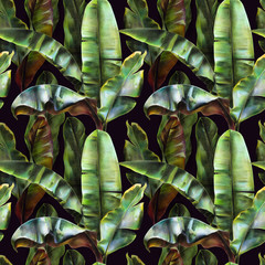 Seamless pattern with banana leaves on a dark background. Tropical background for fabrics, wallpapers, textiles. Illustration with colored pencils.