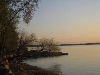 Fototapeta na wymiar Tree Sunset River Landscape