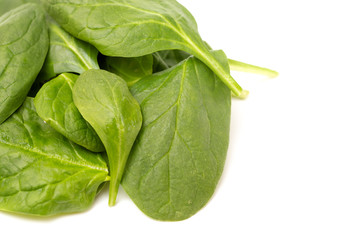 Pile of Spinach Leaves on a White Background