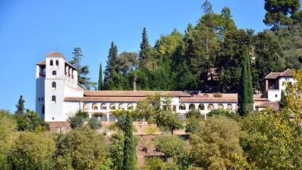 Fototapeta na wymiar El Generalife desde la Alhambra, Granada