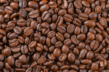 Coffee beans close up. Coffee production industry concept