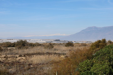 View of arid field and greenhouse
