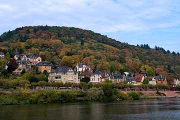 Fototapeta na wymiar Herbst in Heidelberg, Baden-Württemberg, Deutschland 