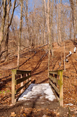 A wooden bridge with snow on it in the bare winter woods in Frick Park, Pittsburgh, Pennsylvania, USA