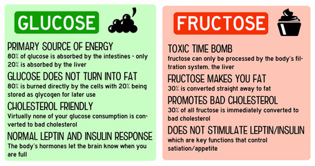Glucose fructose - obrazy, fototapety, plakaty