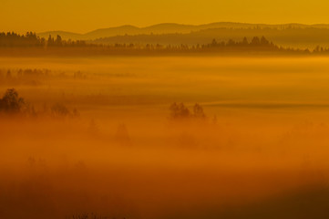 Obraz na płótnie Canvas Sunrise in the forest. Bieszczady Mountains. Poland