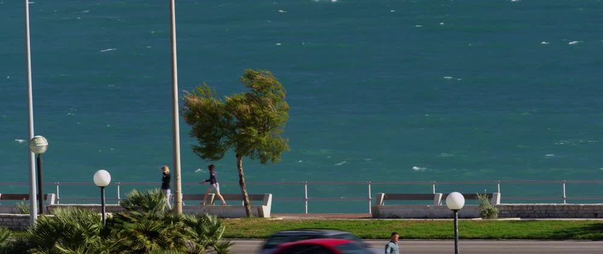 Palma 01