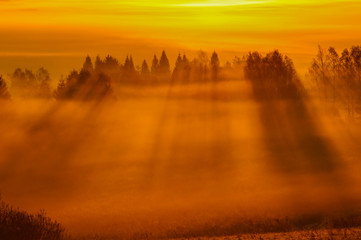 Fototapeta premium Sunrise in the forest. Bieszczady Mountains. Poland
