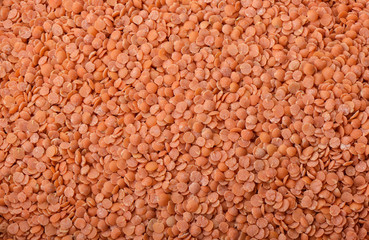 Lentil Persian red chopped as a background. Texture