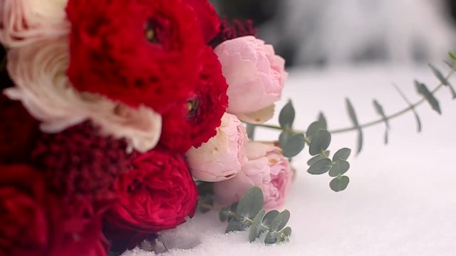 Wedding bouquet of red and white flowers on snow in evergreen conferous woods. Close and macro view of tender roses on snowy surface during snowfall in spruce winter forest.