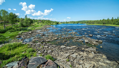 Swedish nordic summer scenery