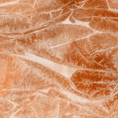 Fototapeta premium Orange watercolor texture with abstract washes and brush strokes on the white paper background.