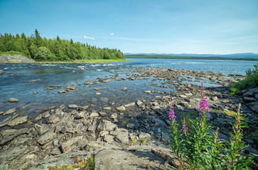 Summer scenery of Swedish mountain river