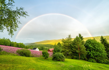 Summer double rainbow in Swedish mountains