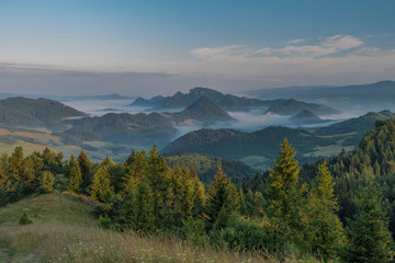 Morning in national park Pieniny with sunny shine over green meadows
