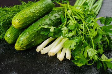 Fresh green cucumber  on black background